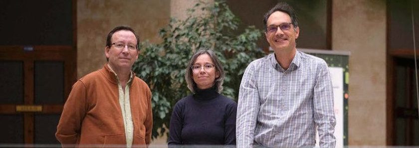 El movimiento de las paredes magnéticas – Interview with Rocío Yanes (SINAMAG-LUMES)