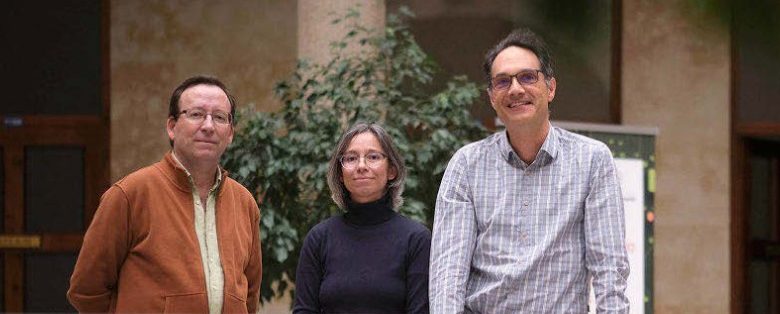 El movimiento de las paredes magnéticas – Interview with Rocío Yanes (SINAMAG-LUMES)